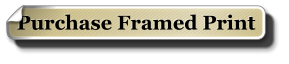 Purchase Framed Print