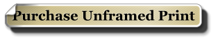 Purchase Unframed Print